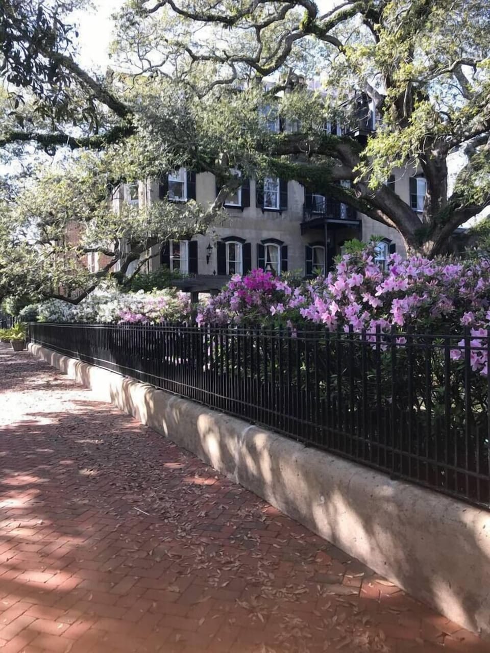 Savannah Square