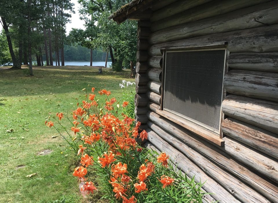 Rustic log in spring 