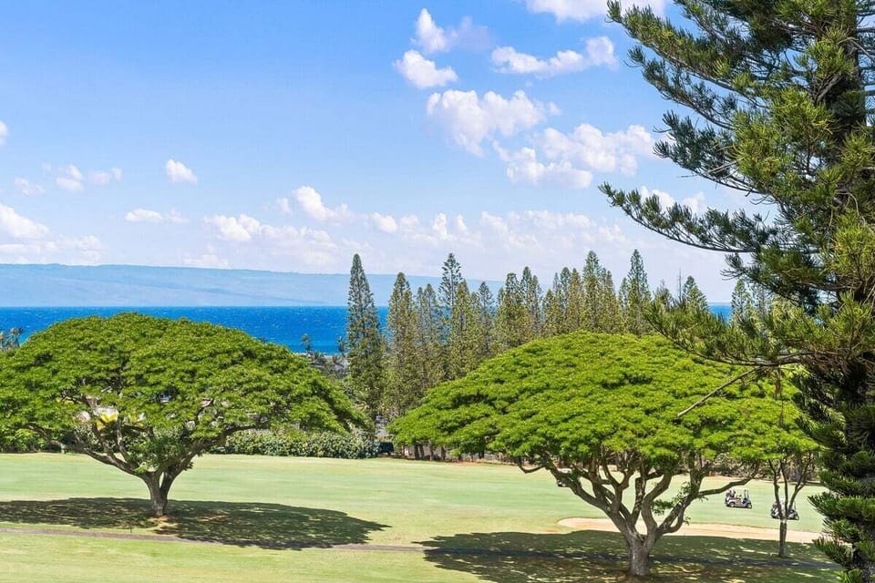 Serene outdoor vista featuring rolling greens, lush foliage, and the brilliant blue sea beyond the tree line.