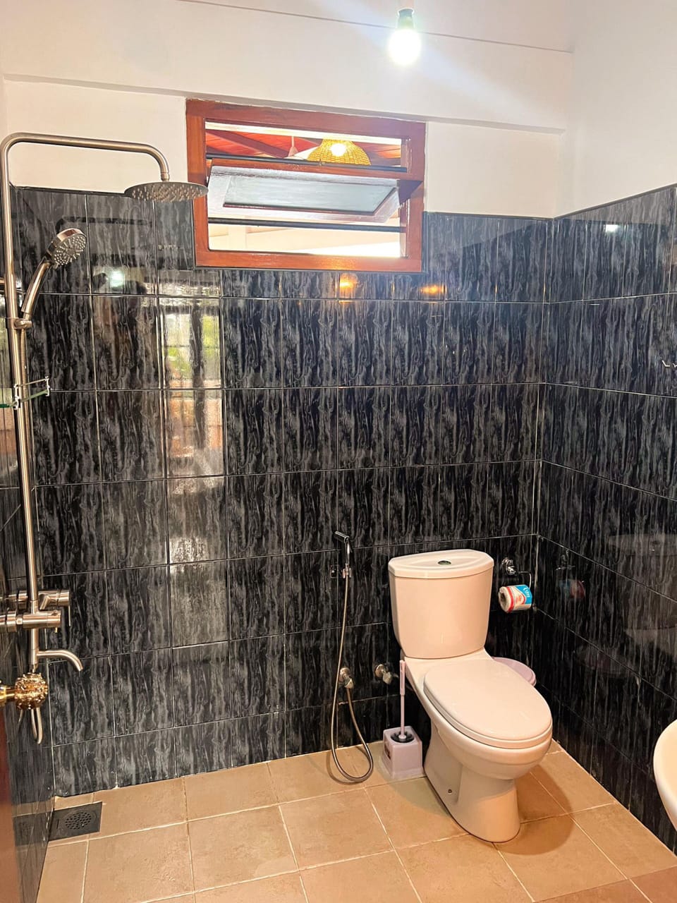 Shower, hair dryer, bidet, soap