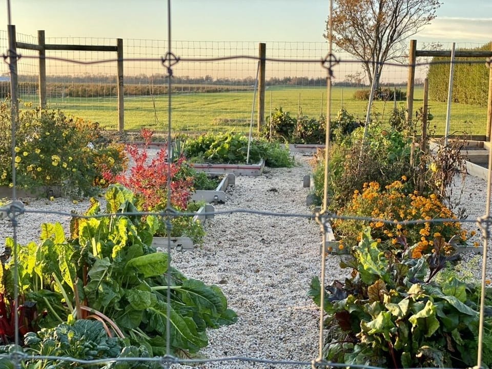 working vegetable garden on property