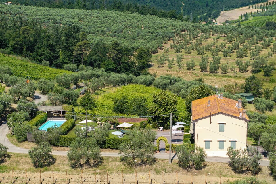 Outdoor, Scenic View