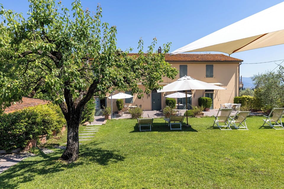Garden, Outdoor