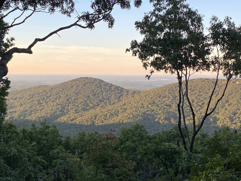 Summer view from back deck