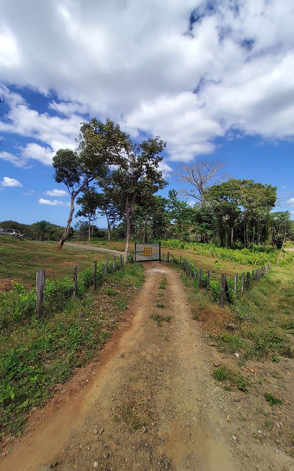 road leading to house and gate