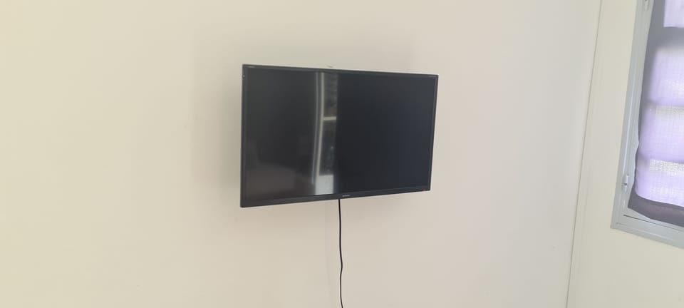 Television