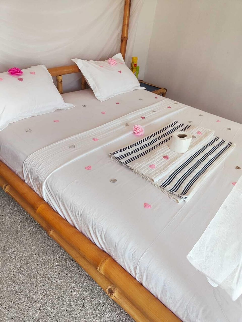 Senior Room | Select Comfort beds, individually decorated, individually furnished