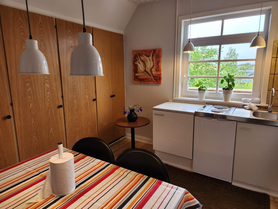 City Apartment | Private kitchen | Fridge, stovetop, coffee/tea maker, electric kettle