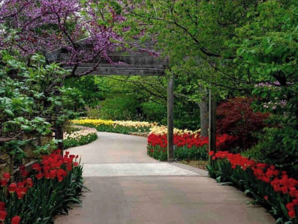 One of Wichita’s most visited attractions, Botanica, is only two blocks away! 