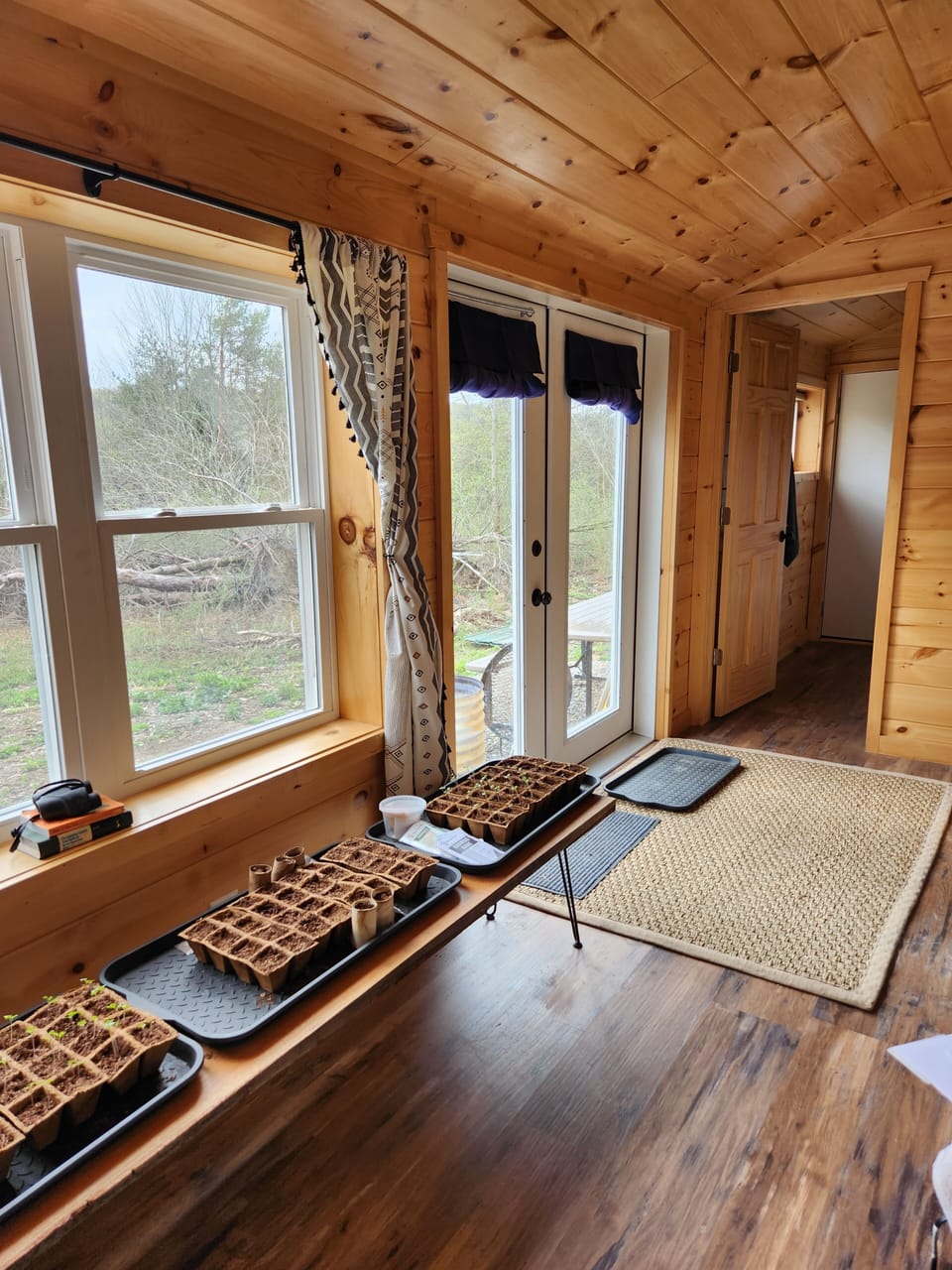Lots of window letting in sun (started my seedlings here)