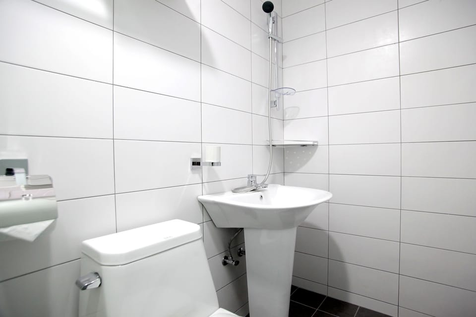 Shower, hair dryer, slippers, towels