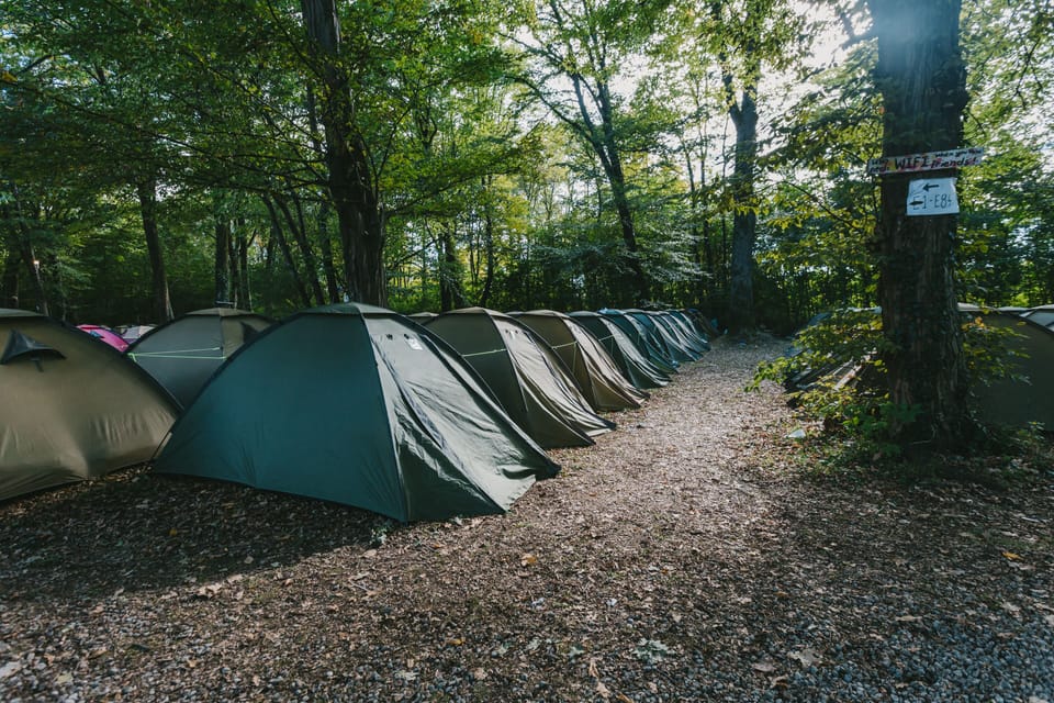 Shared Tent (2 People) | View from room
