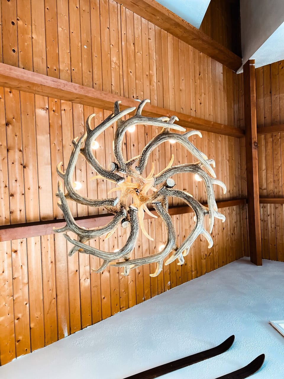Antler chandelier