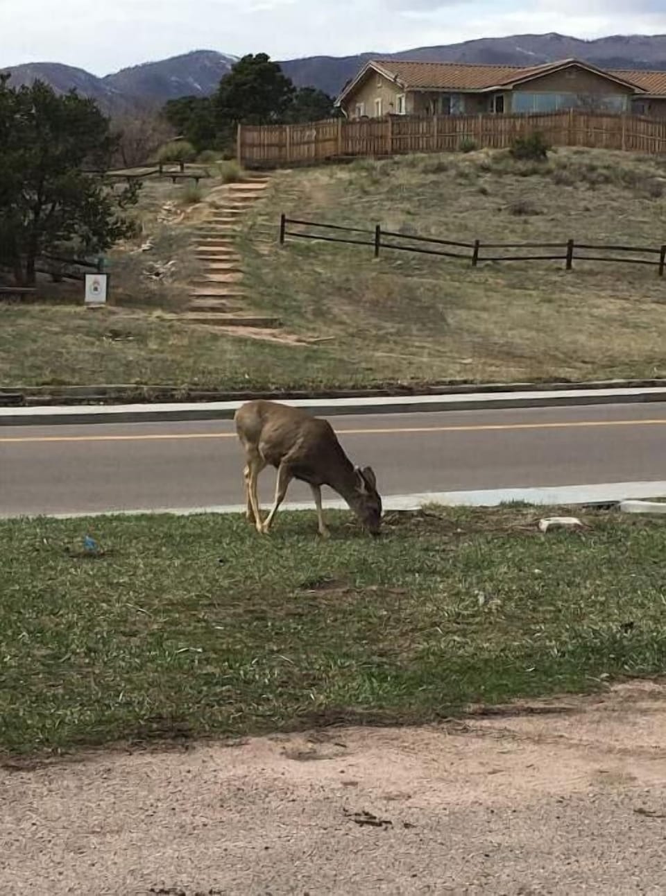 You might even see a deer on the property.