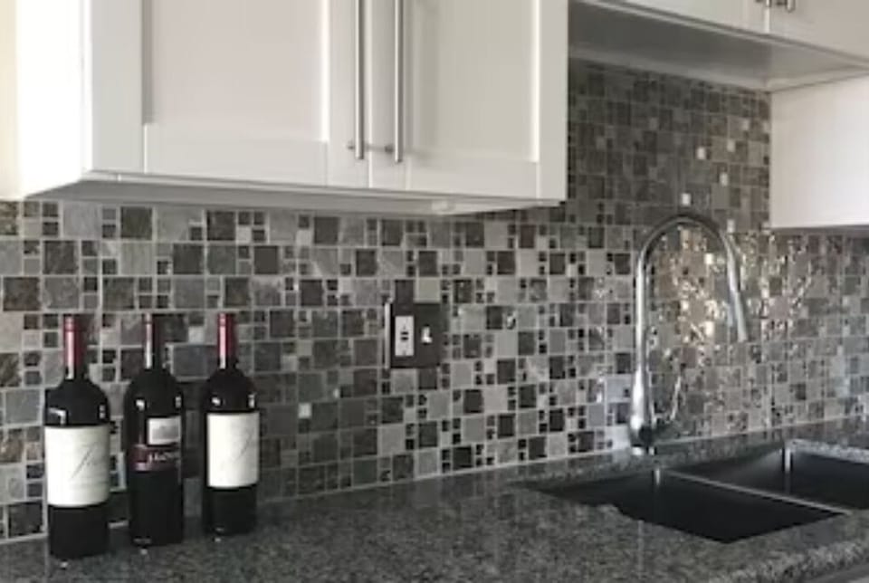 Deep stainless sinks with garburator and backsplash