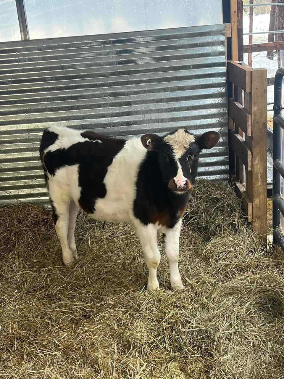 Billy - my favorite!!