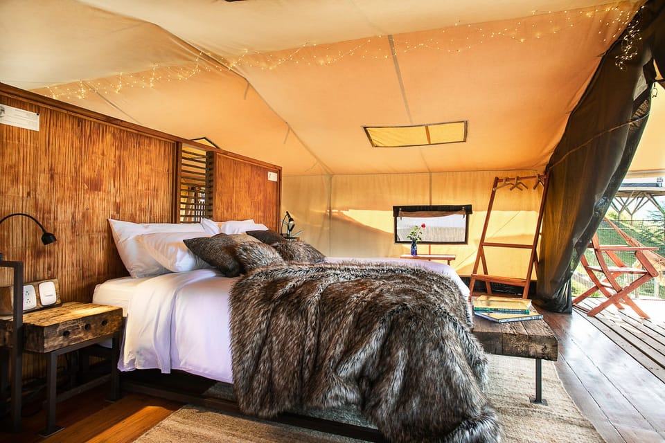 Deluxe Tent, 5 Bedrooms | Down comforters, memory foam beds, desk, laptop workspace