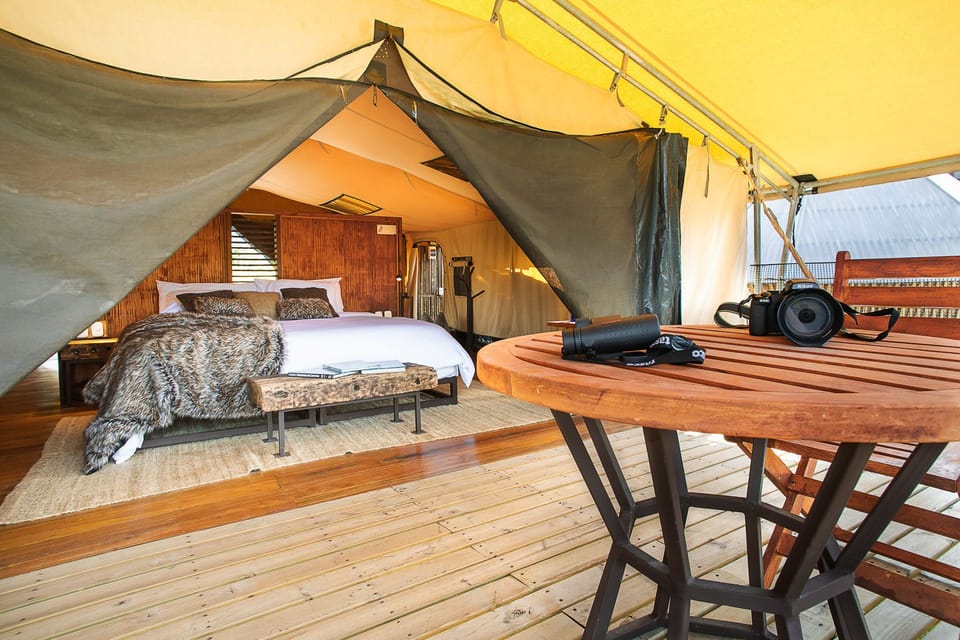 Deluxe Tent, 5 Bedrooms | Down comforters, memory foam beds, desk, laptop workspace