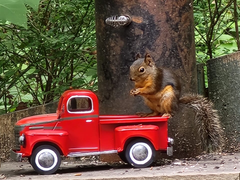 Everyone loves a red truck!