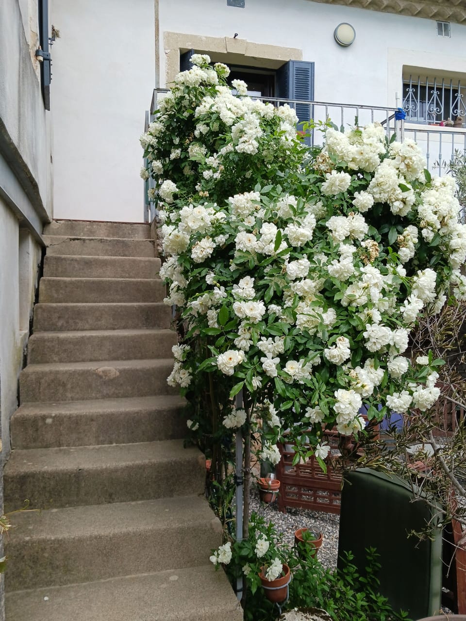 Exterior detail