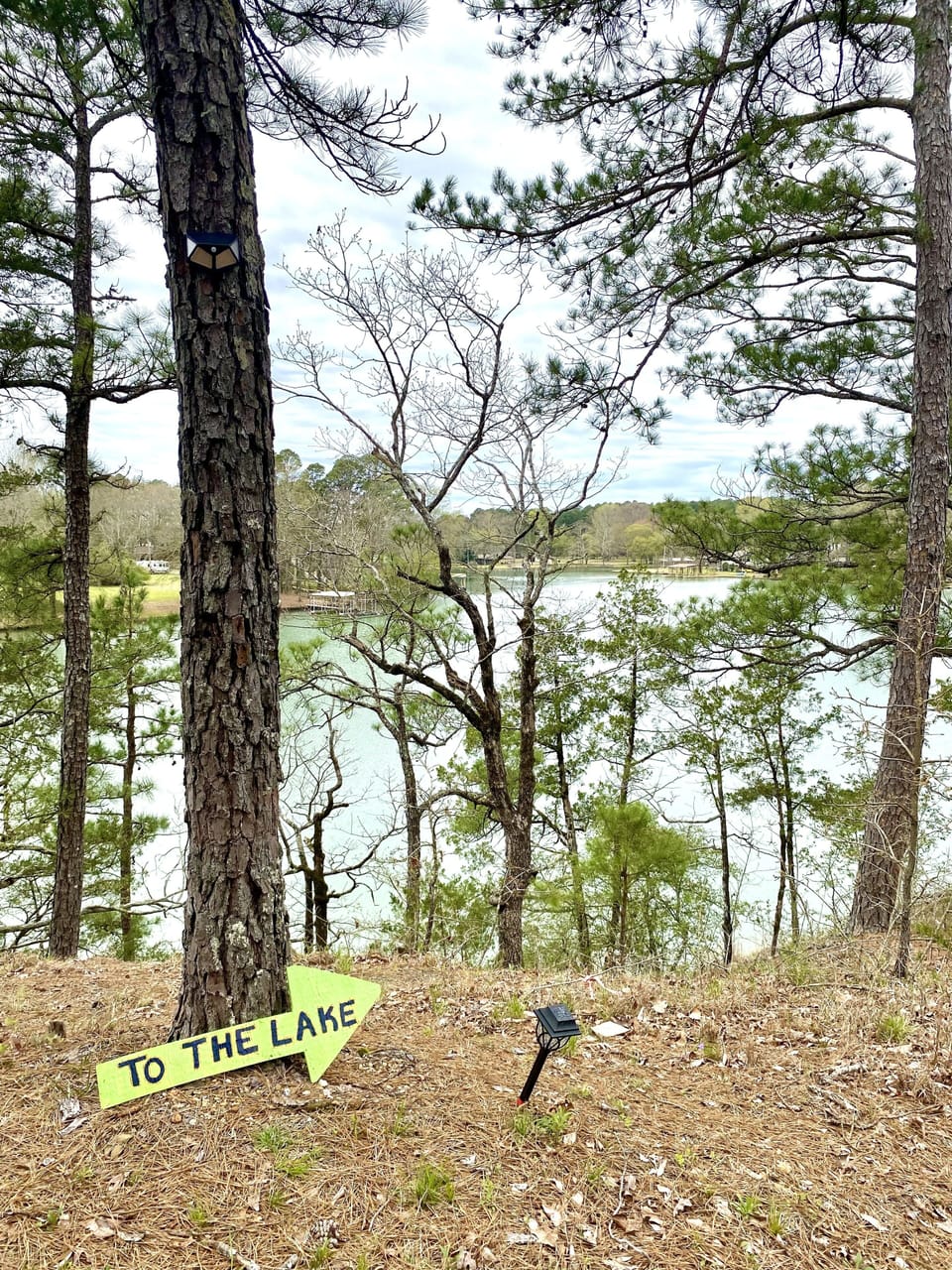 Trail to lake