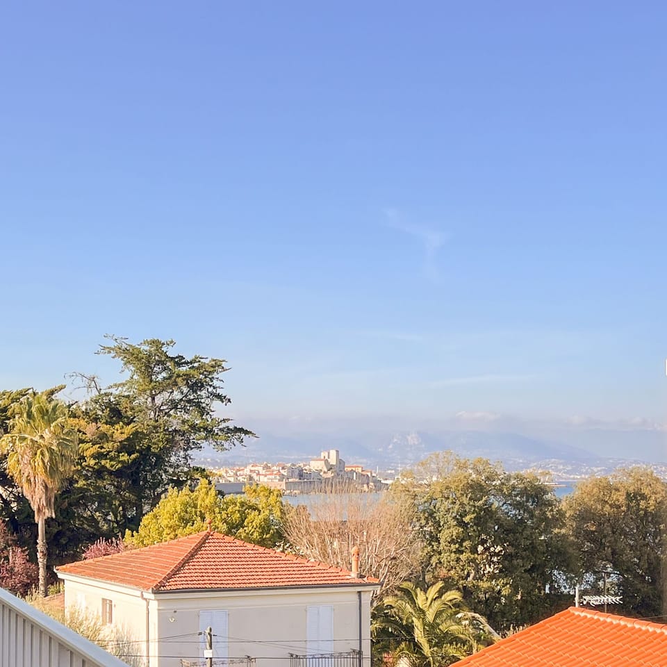 View from the terrace