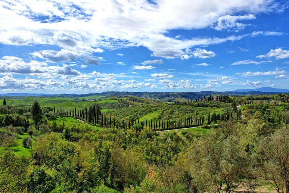 Scenic View