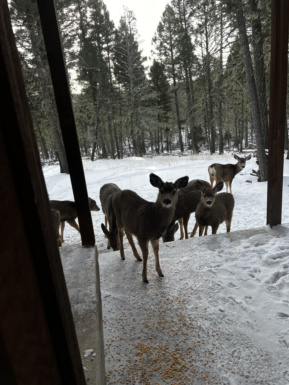 View from property