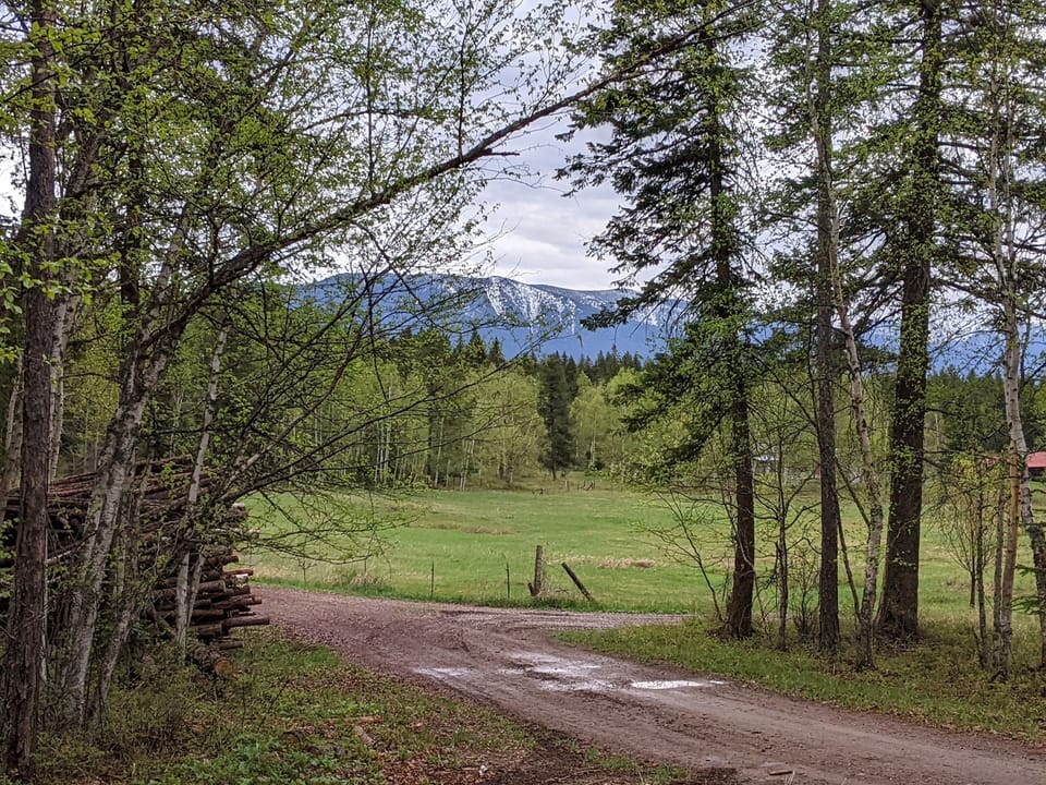 views of Columbia mountain from Balsam Lane the driveway up to the Ponderosa