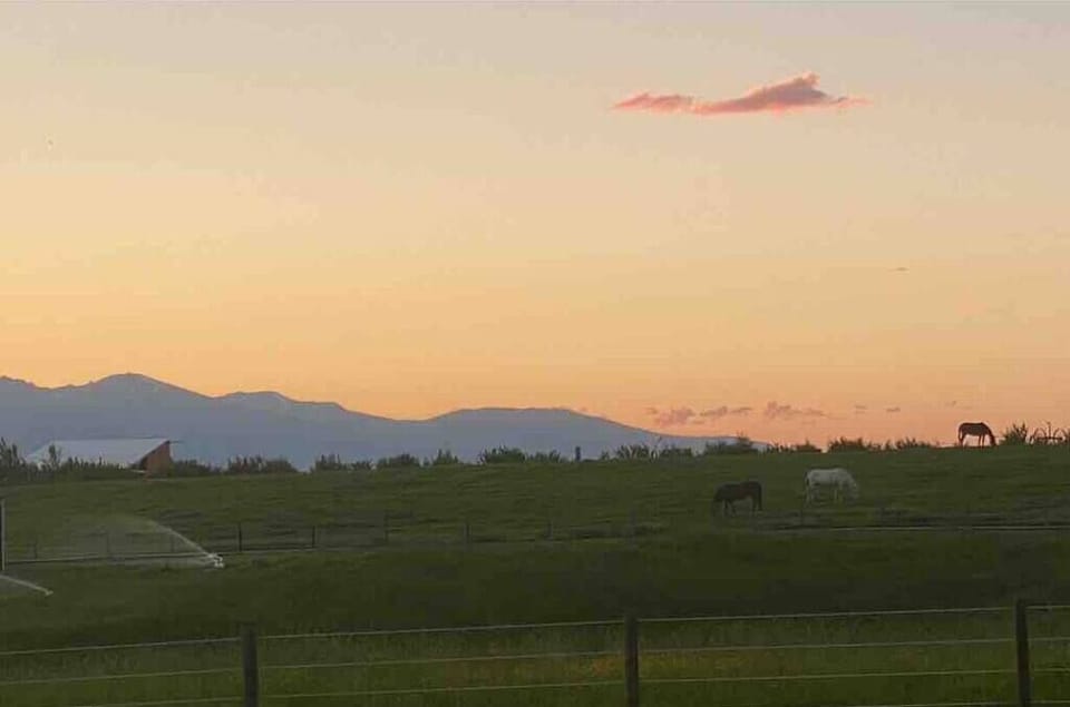 C73a8815 12b2 43ea b883 6a8486a53d0d