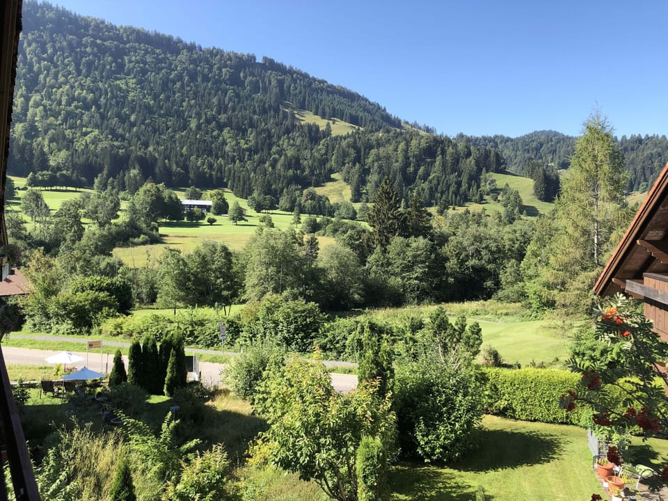 View from property