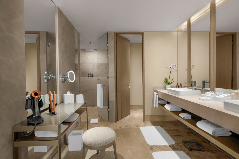 Separate tub and shower, jetted tub, hydromassage showerhead, hair dryer