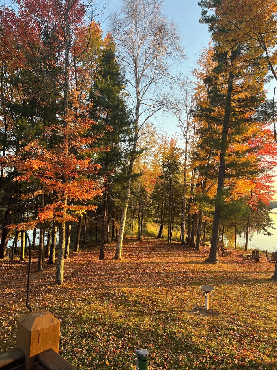 Beautiful Fall Foliage and follow the path that leads out to our peninsula.