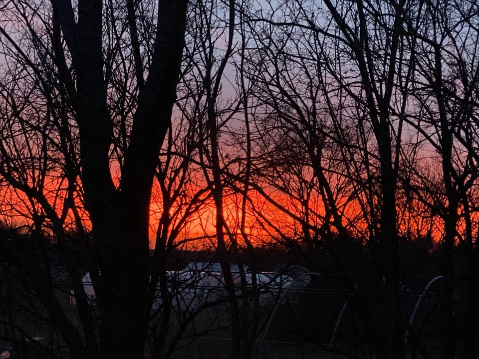 Sunsets here can be magnificent at times! 