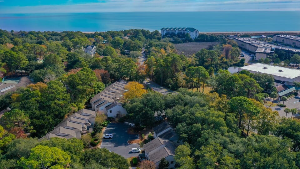 This elevated aerial view highlights the home's private location surrounded by lush maritime forest, with the ocean just beyond the treetops.