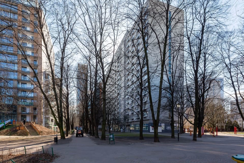 A serene park scene with benches and trees shedding their autumn leaves. The quiet atmosphere invites a peaceful stroll.