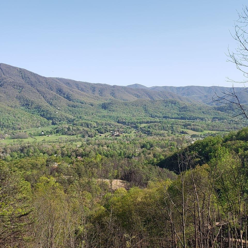 This is the view from the hot tub  looking southwest past the privacy screen.
