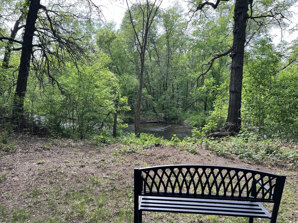 River View Summer 2023