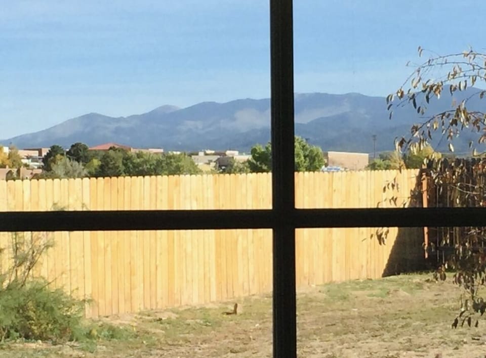 Backyard View