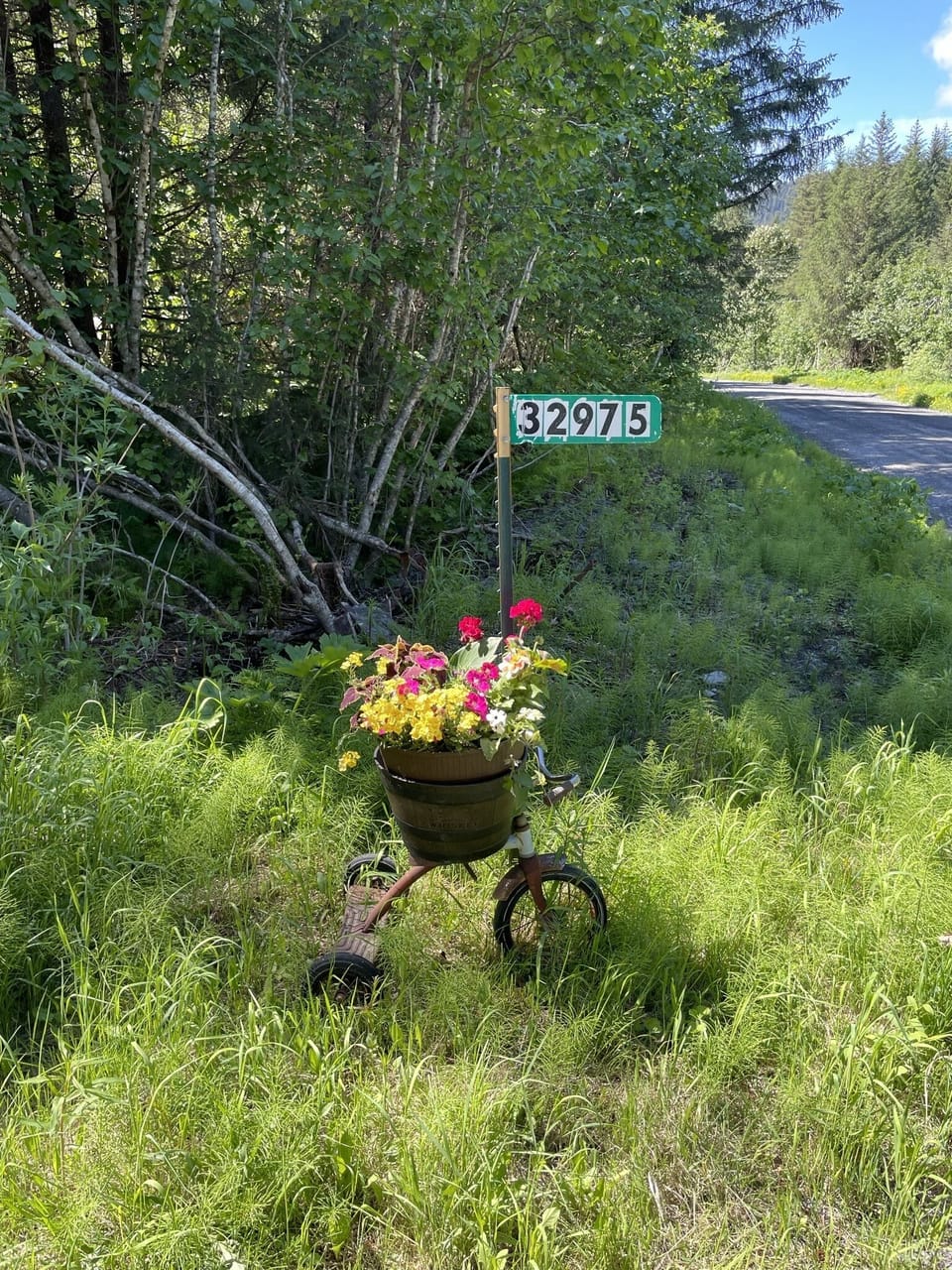 Driveway Entrance 