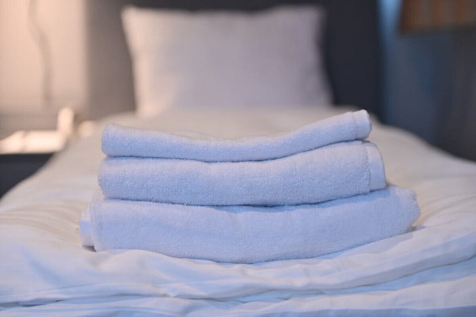 Business Single Room | Desk, laptop workspace, free WiFi, bed sheets