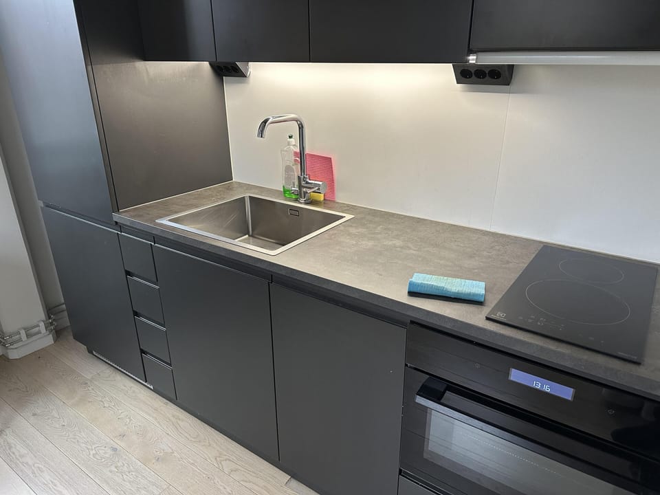 Apartment | Private kitchen | Fridge, microwave, oven, stovetop