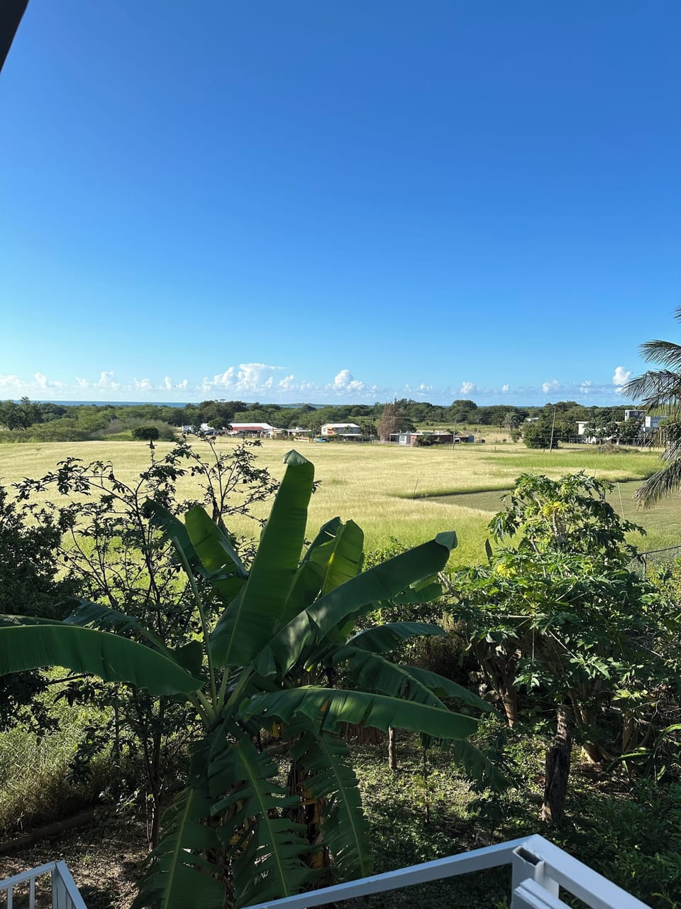 View from property