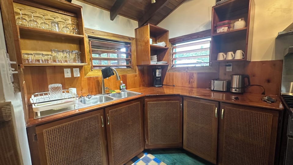 Economy Cabin, 2 Bedrooms | Private kitchen | Fridge, microwave, oven, blender