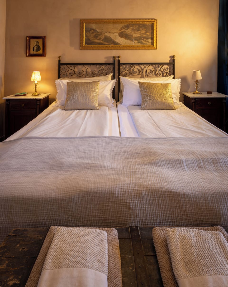 Deluxe Double Room | Individually furnished, iron/ironing board, free WiFi, bed sheets