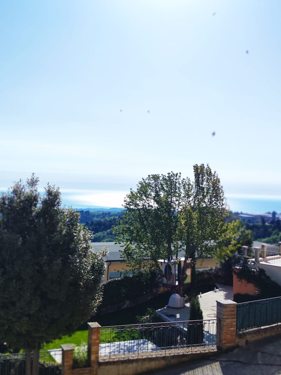 View from property