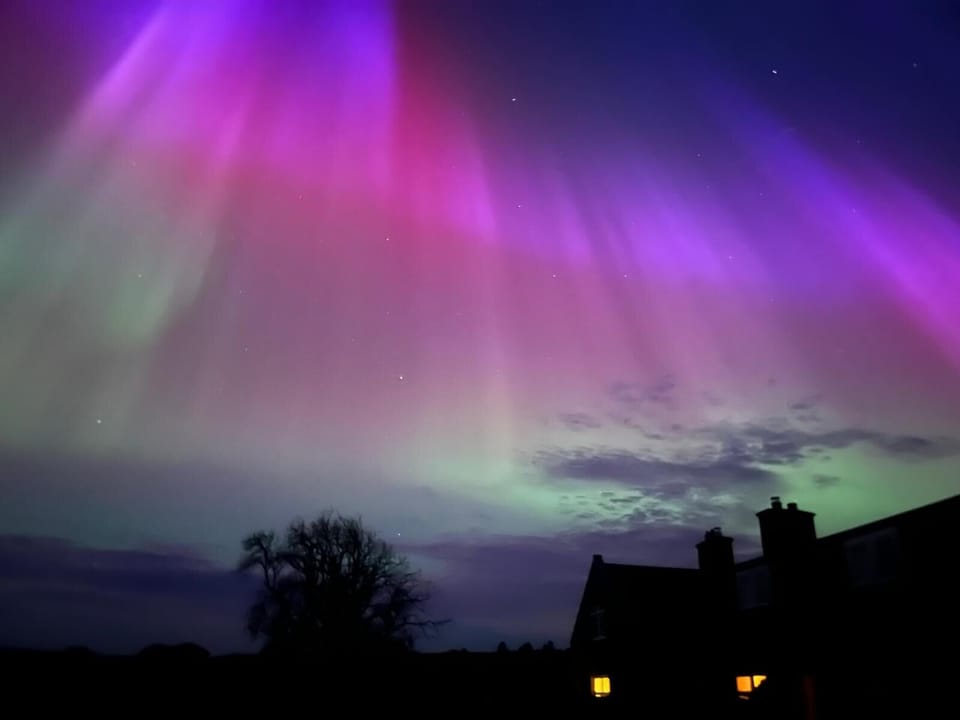 Northern lights over Wild Rose