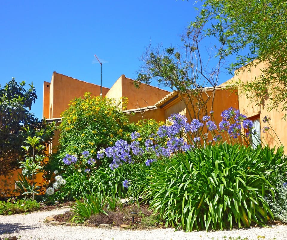 Casa dos Sonhos: The property with 5 flats is located on a spacious plot with a beautifully landscaped garden area and a diverse selection of plants.