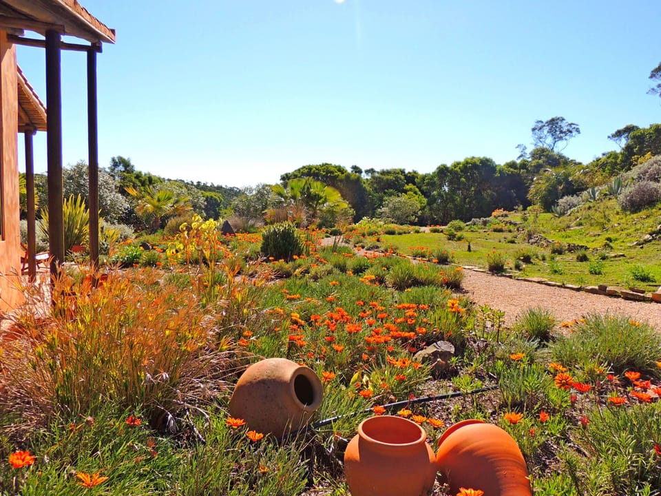 Each flat at Casa dos Sonhos offers a dreamlike view of the flowers and plants in the lovingly tended garden.