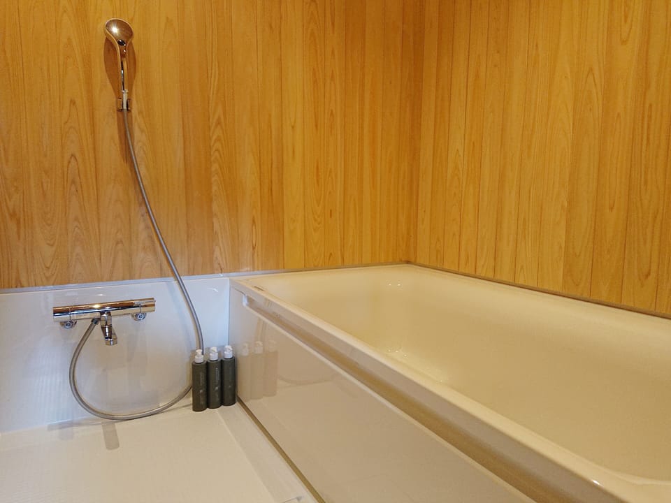 Combined shower/tub, free toiletries, hair dryer, slippers